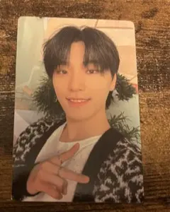 Attacca  Carat盤 トレカ ディノ