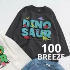 【BREEZE】DINOSAURロゴTシャツ