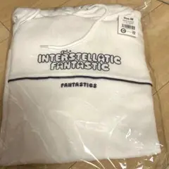 INTERSTELLATIC FANTASTIC パーカー Mサイズ