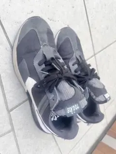 AIRMAX PRE-DAY 28.5cm エアマックス プリデイ