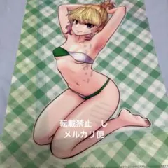 購入特典イラスト】こういうのがいい 13巻 アニメイト 江口友香 SCF