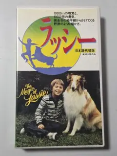☆中古ビデオ　名犬ラッシー/ラッシー危機一髪 　【日本語吹替】　希少です ☆中古ビデオ 名犬ラッシー/ラッシー危機一髪 【日本語吹替】 希少です