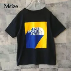 THE NORTH FACE Msize Tシャツ スクエアロゴ ヘヴィウエイト
