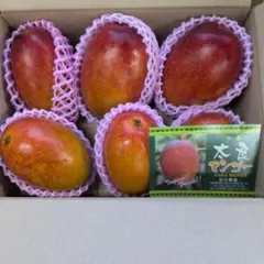 ちびさん専用B級品 完熟 太良マンゴー 詰め合わせ7.5キロ ちびさん専用B級品 完熟 太良マンゴー 詰め合わせ7.5キロ - メルカリ