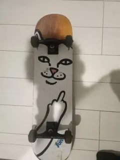 スケートボード コンプリート RIPNDIP