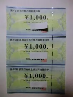 ビックカメラ 株主優待券