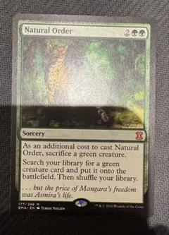 Natural Order / 自然の秩序　VIS 英語版