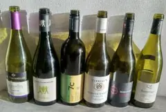 Item thumbnail for item b894d5db-f9cd-49fa-ae3f-d5a6f189fb2d