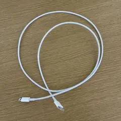 Apple純正C to Lightningケーブル