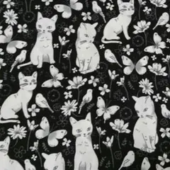 Item thumbnail for item aa060ab7-85b5-4d16-93c4-b5e8f1d3e6b7