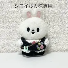 シロイルカ様専用 skzoo 10cm ぬいぐるみ 衣装
