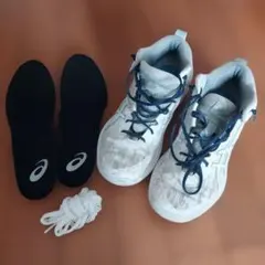 【限定出品】ASICS バスケットボールシューズ GELHOOP 25センチ