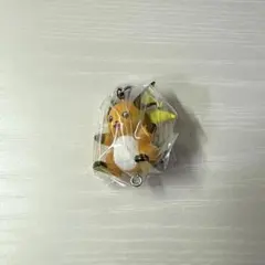 カプセルトイ　ポケモン　つまんでつなげてマスコット14 ライチュウ