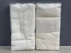 Item thumbnail for item 759aa526-3f0e-416f-bfee-f285bcae10f6