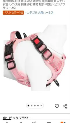 Item thumbnail for item 8ee79914-b179-4ee9-b0b4-e9291a594786