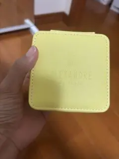 アレクサンドルドゥパリ　ノベルティ　アクセサリーケース