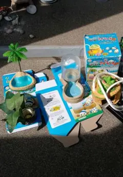 ヤドカリ飼育セットのサムネイル