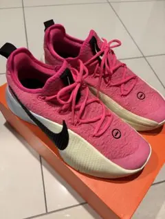 NIKE LEBRON ナイキ レブロンTR1 25.5cm