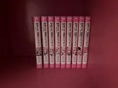 総長さま、溺愛中につき。全9巻セット