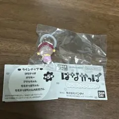 2026年最新】アゲルちゃんの人気アイテム - メルカリ