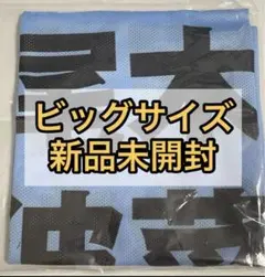 ≠ME ノイミー 公式ビブス 2024 ビッグ O サイズ 新品未開封 尾木波菜
