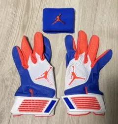 NIKE ナイキ トラウトモデル バッティング手袋 ネイビー 紺 L 両手