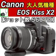 2026年最新】Canon シャッター回数：〜1万回 デジタル一眼レフの人気