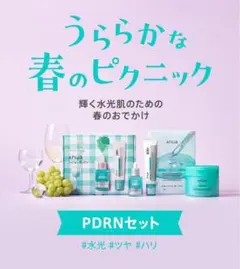 【新品未使用】Anua(アヌア)うららかな春のピクニック PDRNセット