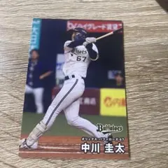 Item thumbnail for item 00d67dcb-8d71-46b3-9e26-84e9bf57b371