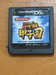 DS 熱闘パワフル甲子園