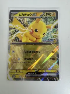 匿名配送　送料込　即購入OK　ジャンボカード