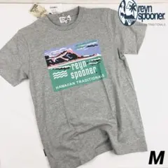 reynspooner レインスプーナー メンズ ダイアモンドヘッドtシャツ Mのサムネイル