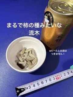 よっしー様 リクエスト 4点 まとめ商品