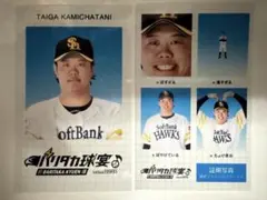 2026年最新】上茶谷大河 サインの人気アイテム - メルカリ