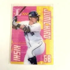 埼玉西武ライオンズ ピックアッププレイヤーズ 2025 岸潤一郎