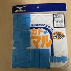 Item thumbnail for item 95c584d2-752c-49b9-ad54-849357d6e195