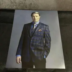 マッツ・ミケルセン グリンデルバルド クッション - メルカリ