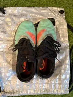 Item thumbnail for item 9fb9cb54-7e68-4e51-8969-db8fb15e4f45