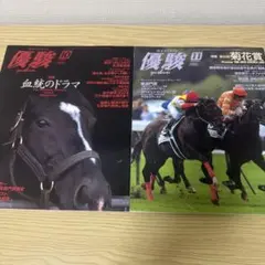 競馬場記念入場券。2007年 秋天、JC、有馬記念未使用3枚セット