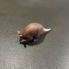 ツチブタ　ミニチュアプラネット　miniature planetのサムネイル