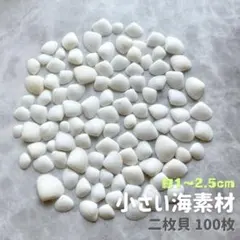 貝殻　小さい　二枚貝　100枚　工作　手芸　レジン　デコパーツ　海　材料　お得