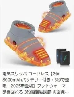 電気スリッパ コードレス （M:26㎝）冷え対策 温活 10秒急速加熱 