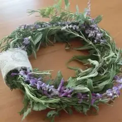 Item thumbnail for item 7c625d7c-25f5-497a-b785-ca93ab8da1ea