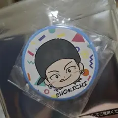 EXILE SHOKICHI 缶バッジ　THE REASON 会場ガチャ