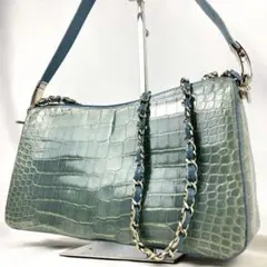 未使用級 SANPO シャイニングクロコダイル アクセサリーポーチ 2wayのサムネイル