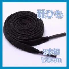 黒 平紐 靴ひも シューレース 120cm 2本セット スニーカー 靴紐