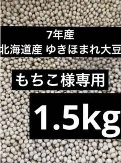 もちこ様専用