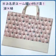 【子供】レッスンバッグ　手提げ袋　絵本袋　図書袋　通園バッグ　女の子向け（18）