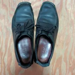 クラークスワラビー