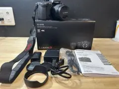 2026年最新】dc-gh5の人気アイテム - メルカリ